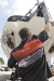 cox_09MC4971.jpg